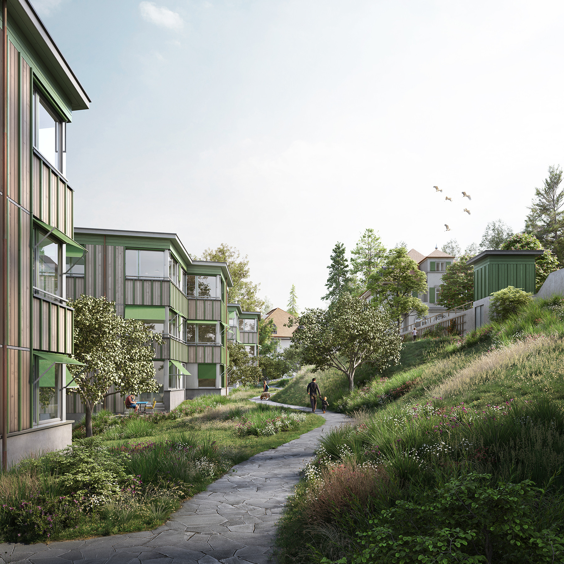 Wohnüberbauung Oberer Rebberg in Zofingen mit begrünten Wegen, naturnaher Landschaftsgestaltung und modernen Wohnhäusern von Kunz Architekten / kunzarchitekten Sursee